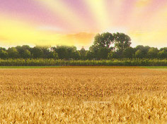 开云电竞app下载基地展示3