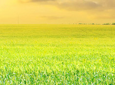 开云电竞app下载基地展示1